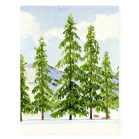 Snow Bright