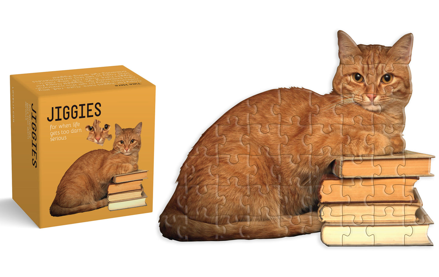Cat Reader Puzzle