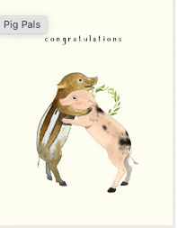 Pig Pals