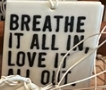 Breathe it All In DISC