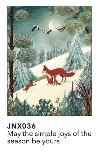 JNX036 Fox Holiday S/8