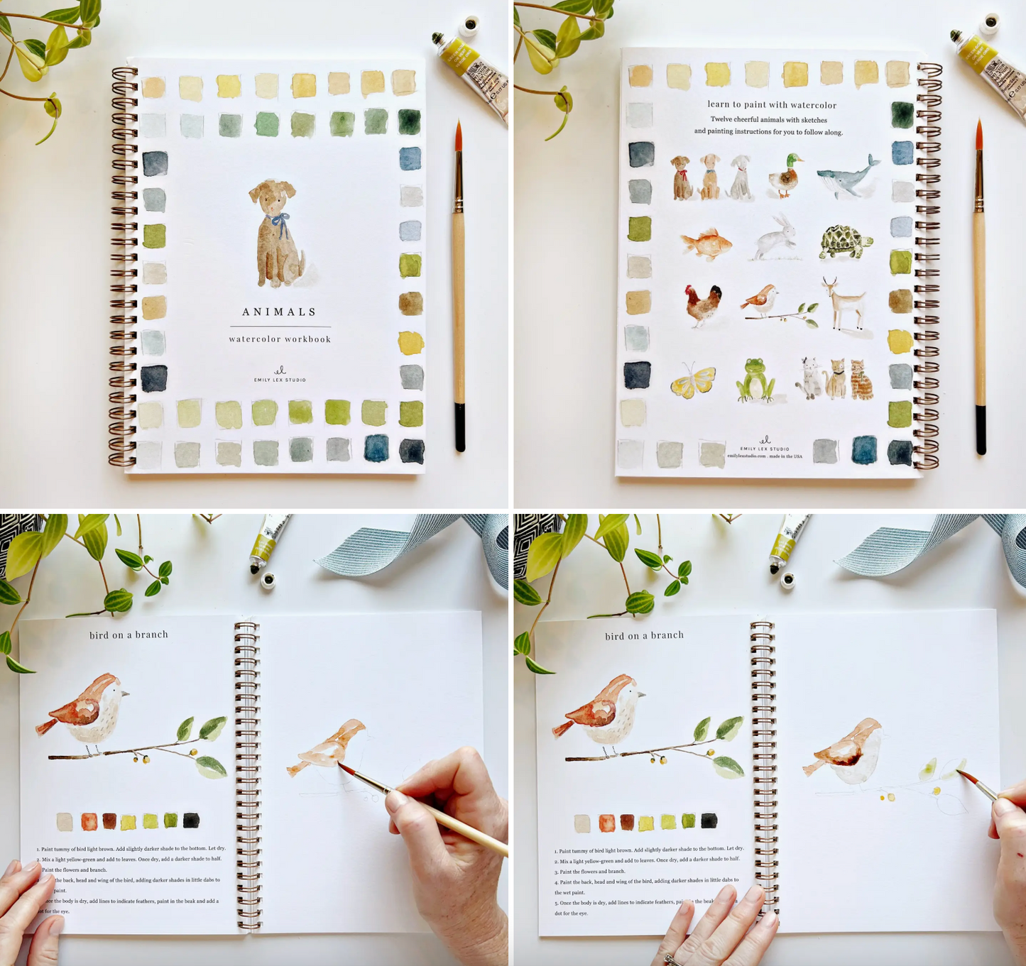 Animals Watercolor Book