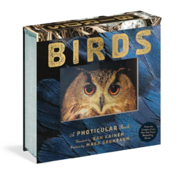 Birds Photicular Book