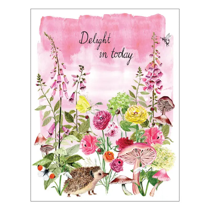 FF235 Hedgehog Delight