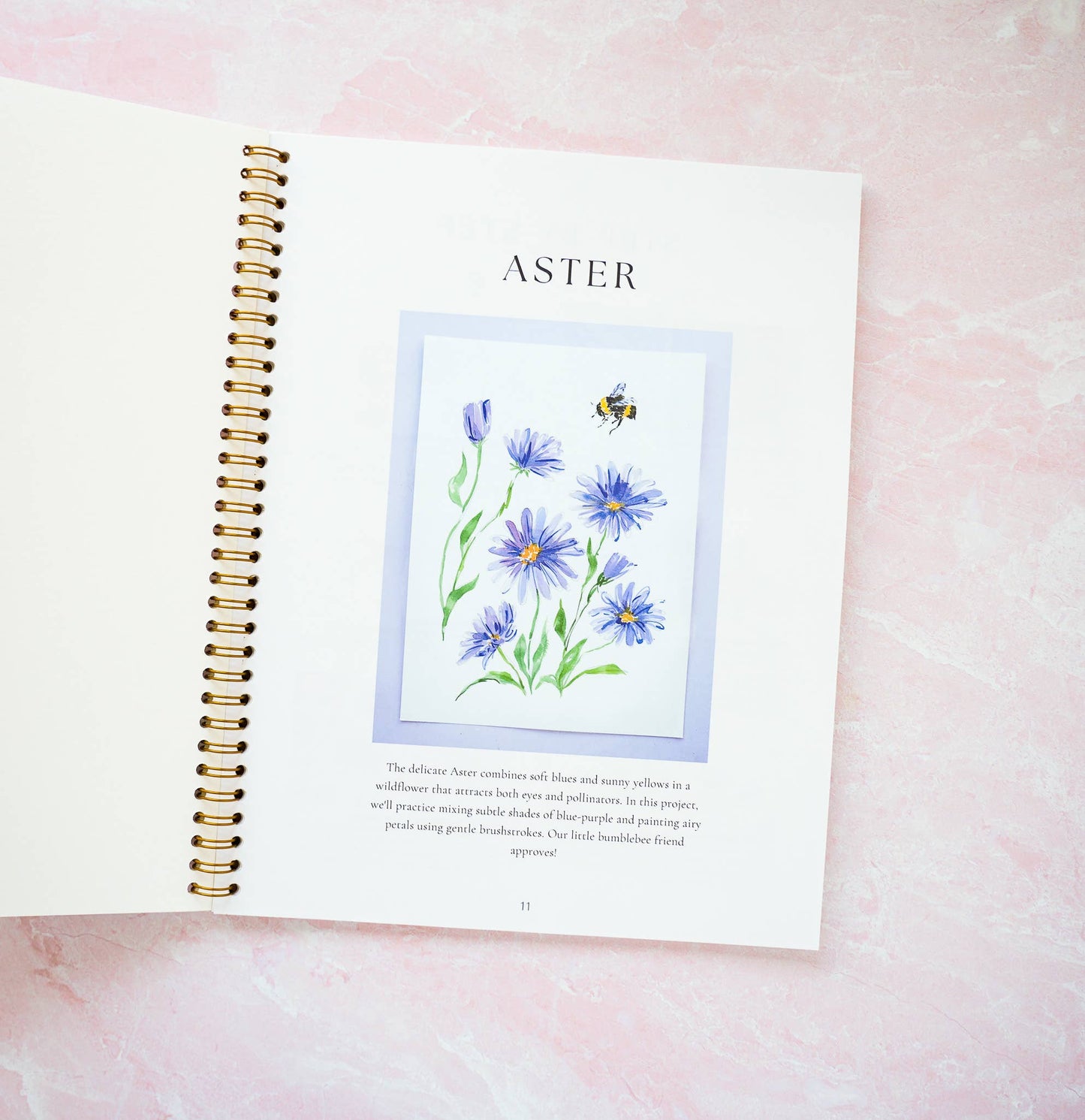 Wildflower Workbook