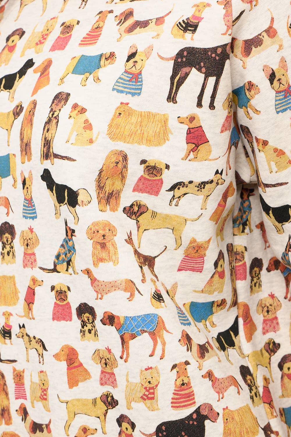 Dog Sweatshirt