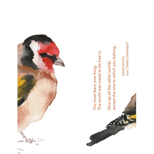 David Whyte Bird Bookmark Set