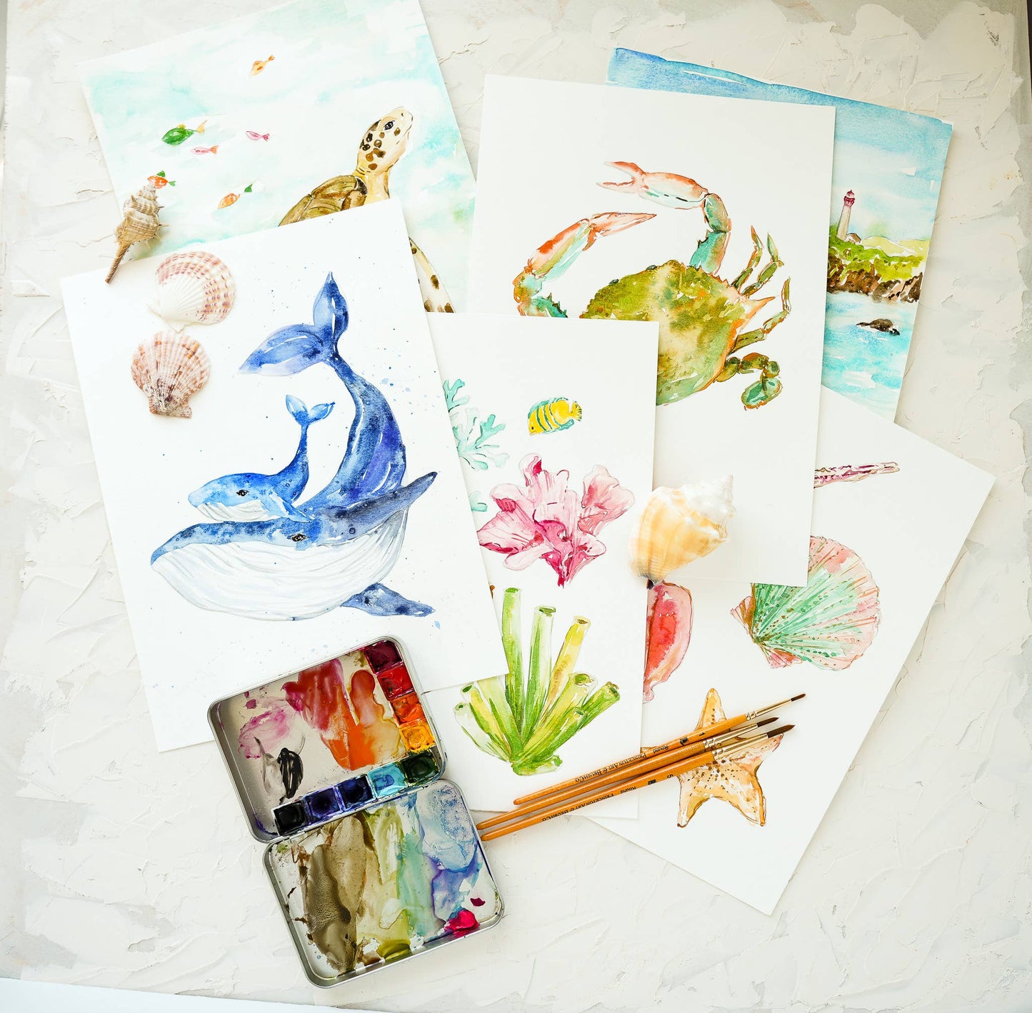 Seashore Workbook