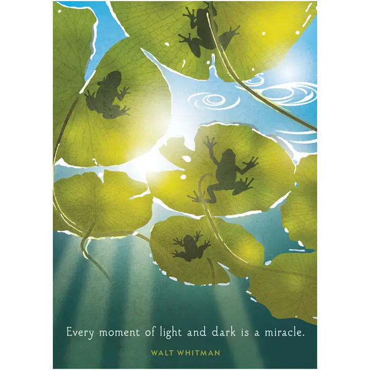 LI1102 Lilypad Light Birthday