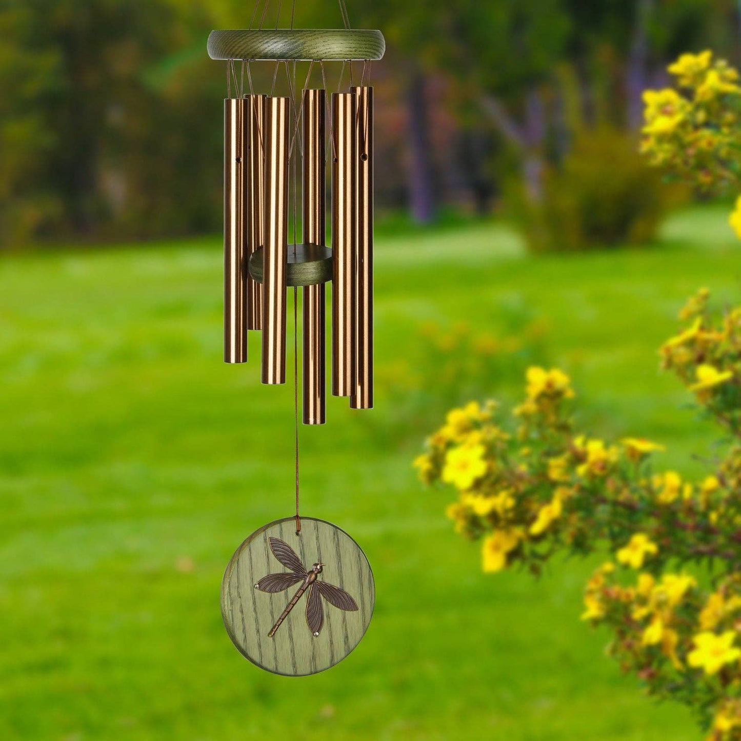 Habitats Grn Dragonfly