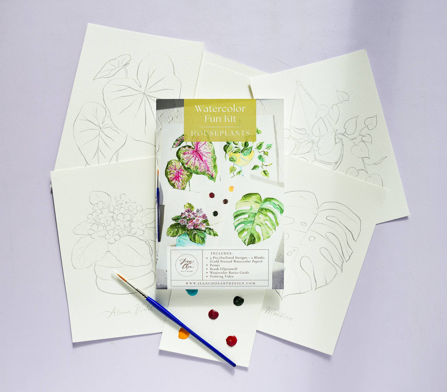Houseplants Kit
