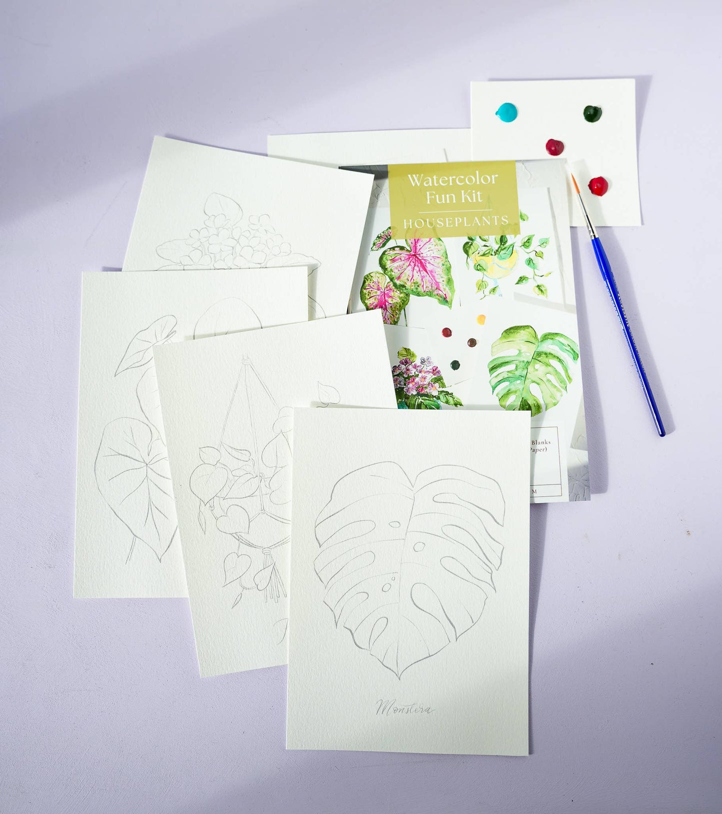 Houseplants Kit