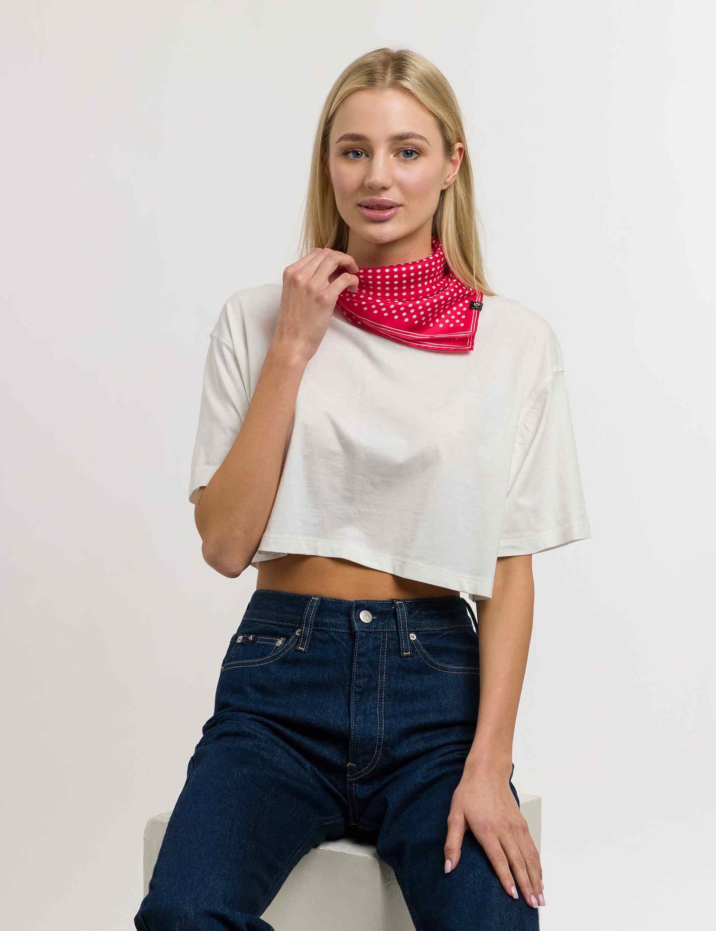 Classic Dot Silk Neckie