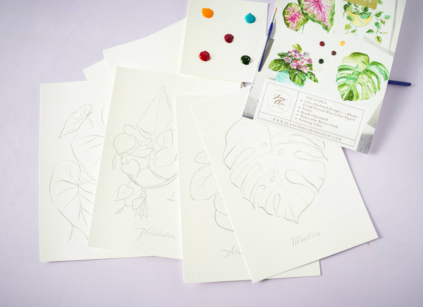 Houseplants Kit