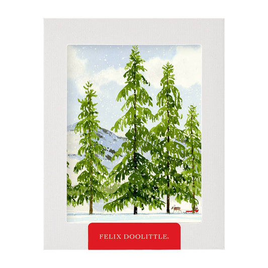 Snow Bright Box