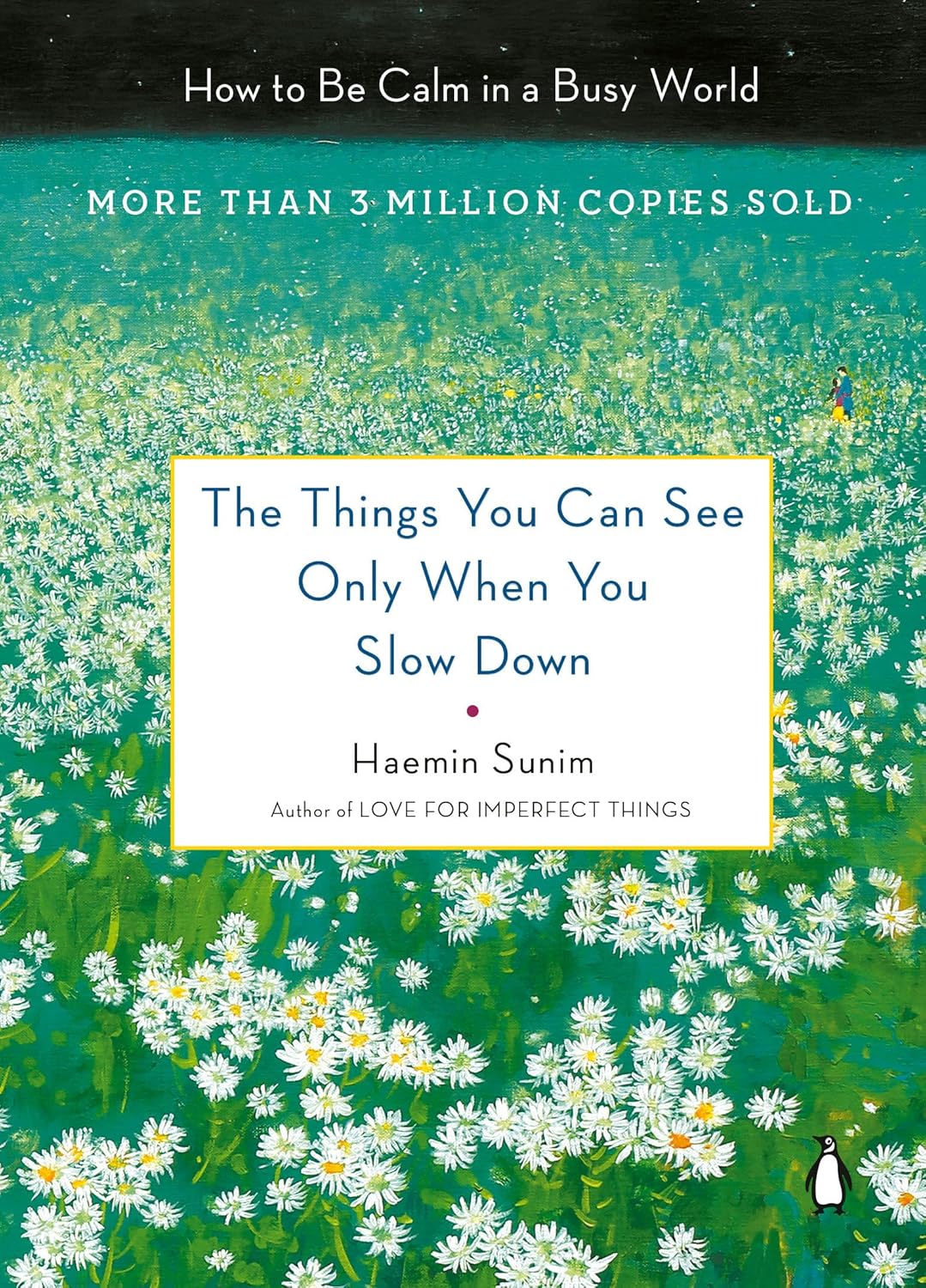 Things You Can Only See Slow