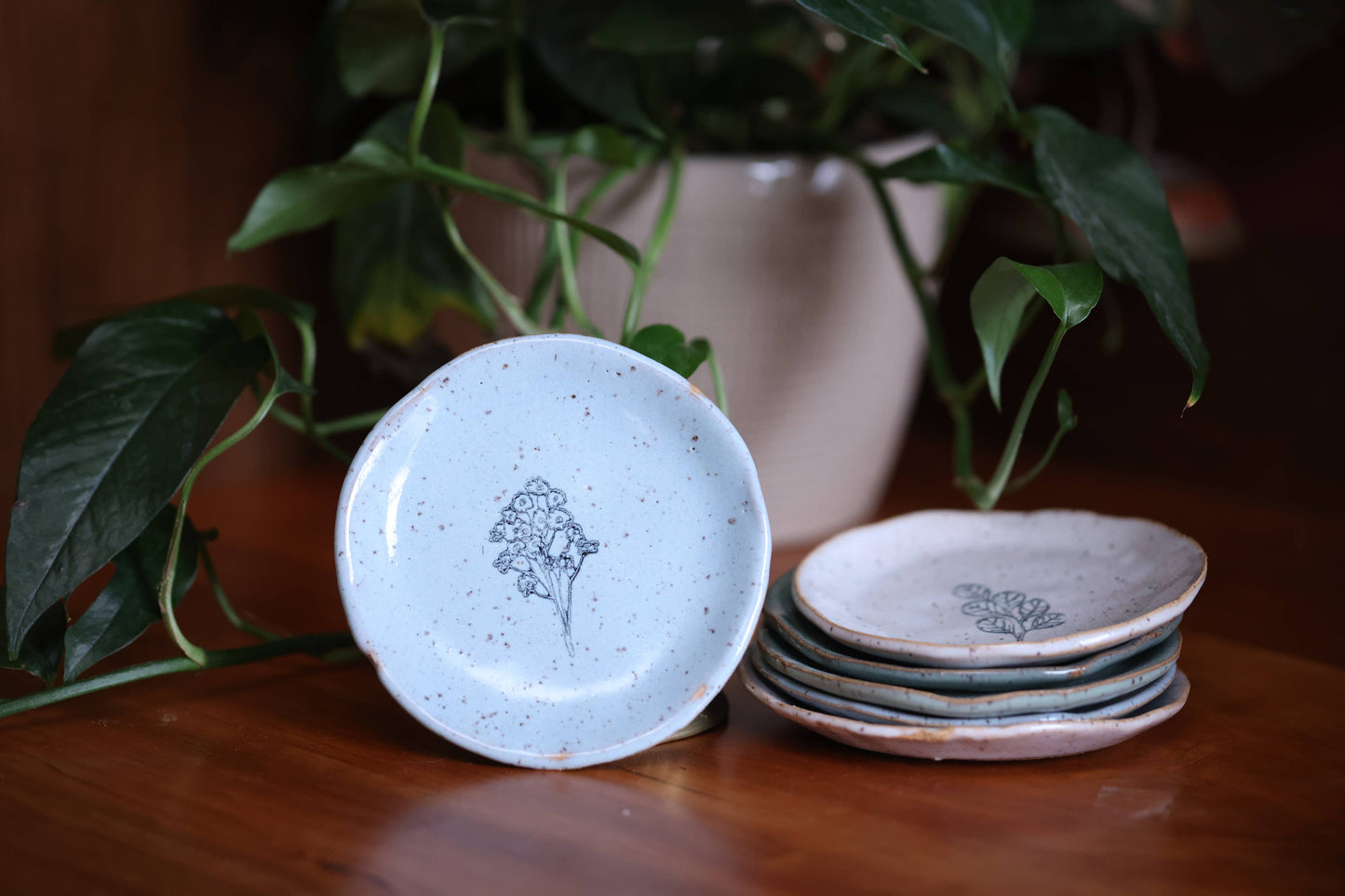Mini Plate Eucalyptus