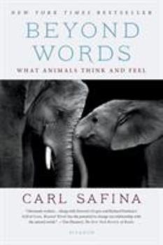 Beyond Words Book