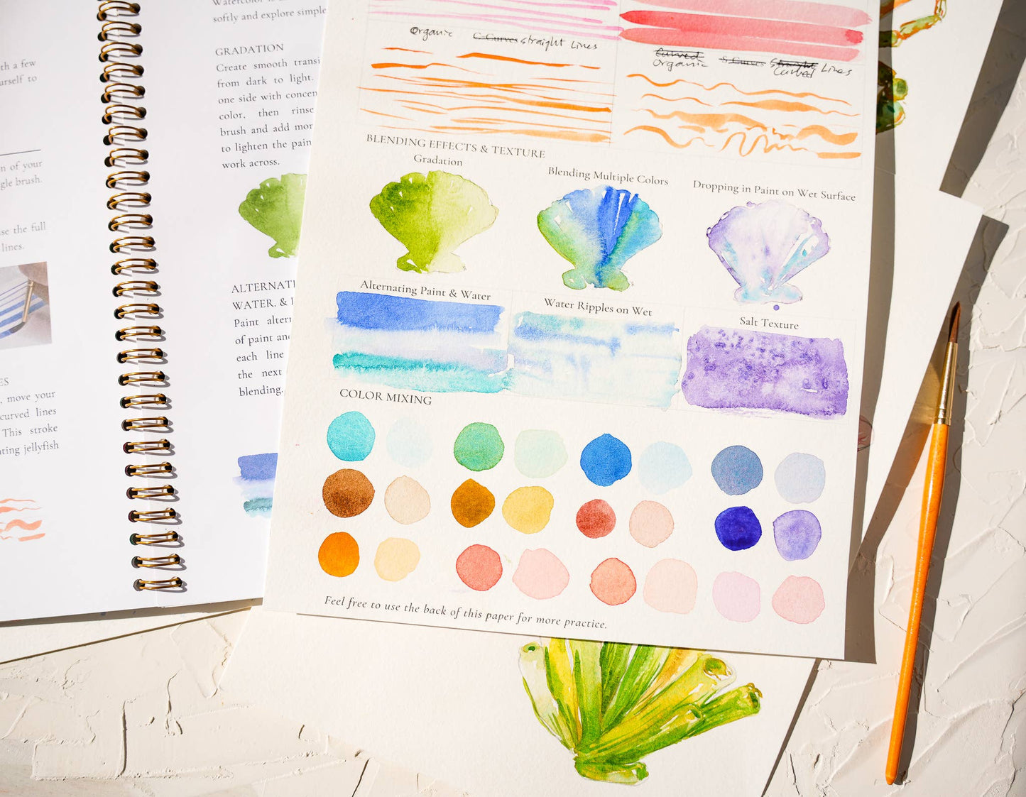 Seashore Workbook