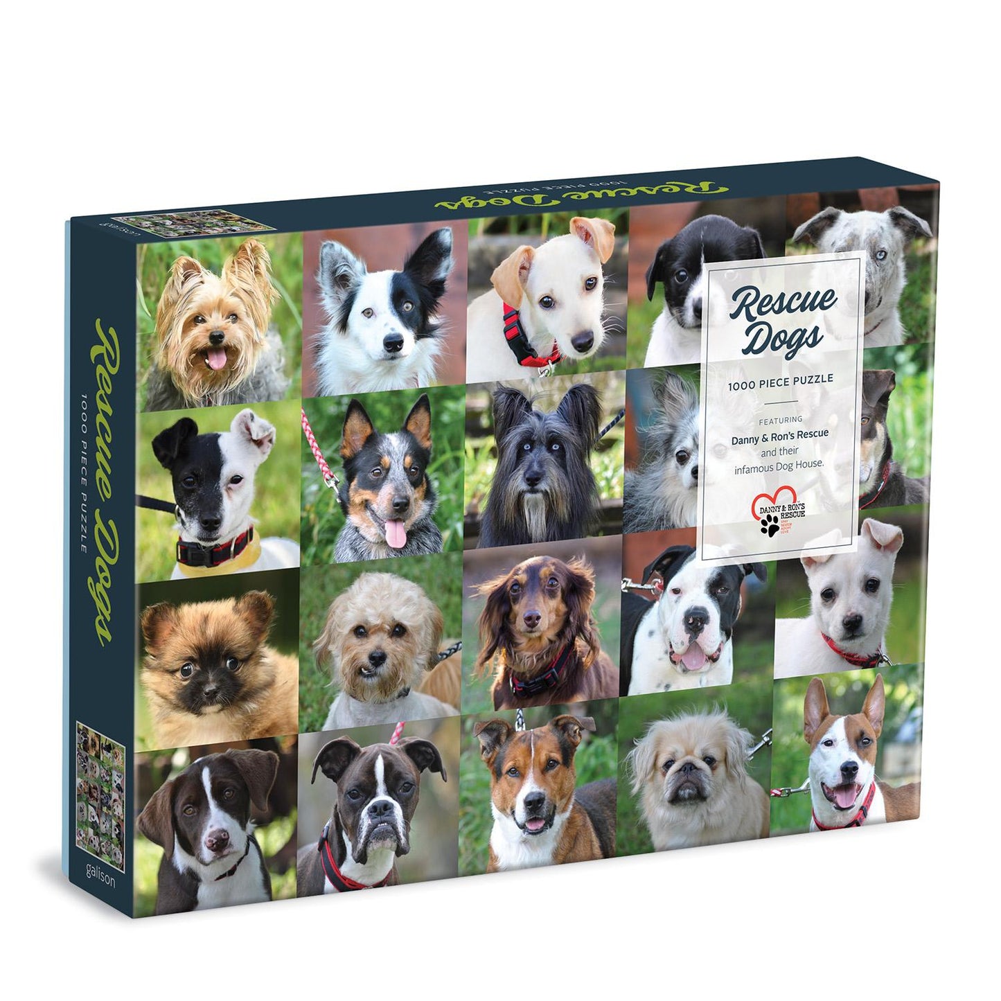 Rescue Dogs 1000