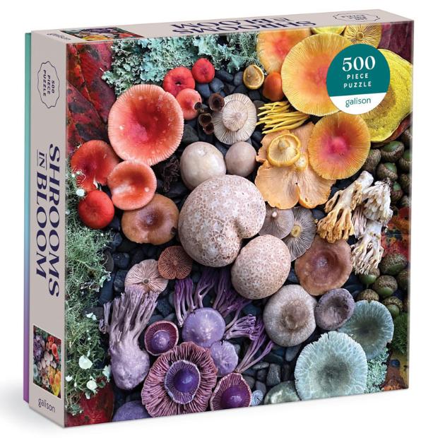 Shrooms in Bloom 500