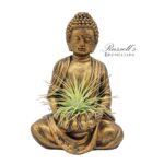 Namaste Buddha Gold
