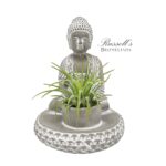 Namaste Buddha Grey