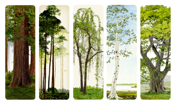 Bookmark Set