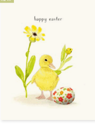 Daisy Duckling