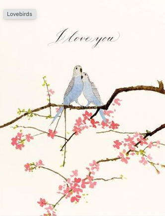 Lovebirds
