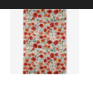 Kitchen Towel