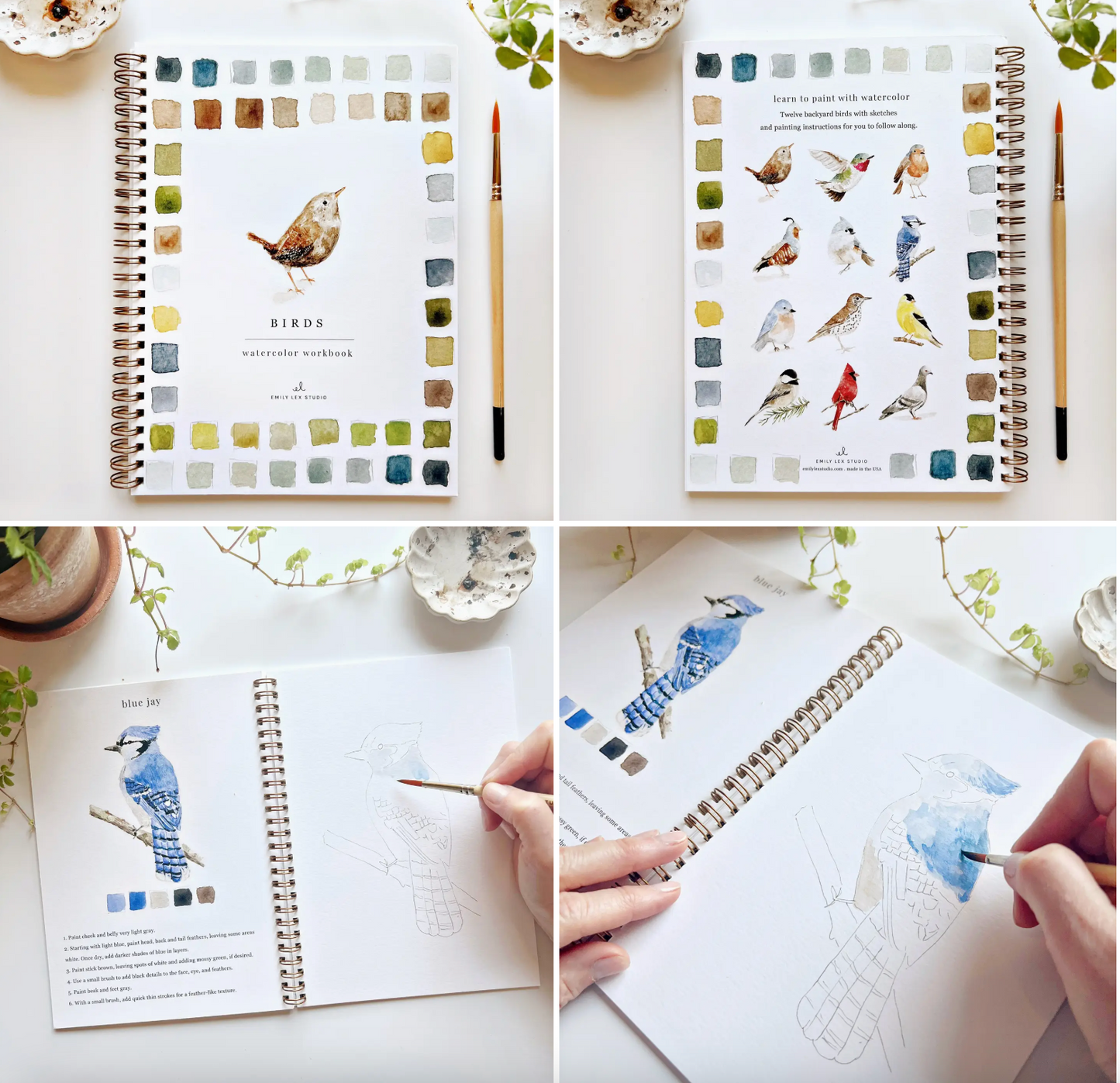 Birds Watercolor Book