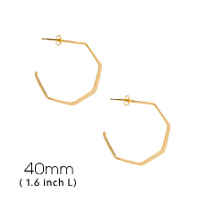 10316 Hex Earring