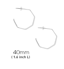 10316 Hex Earring