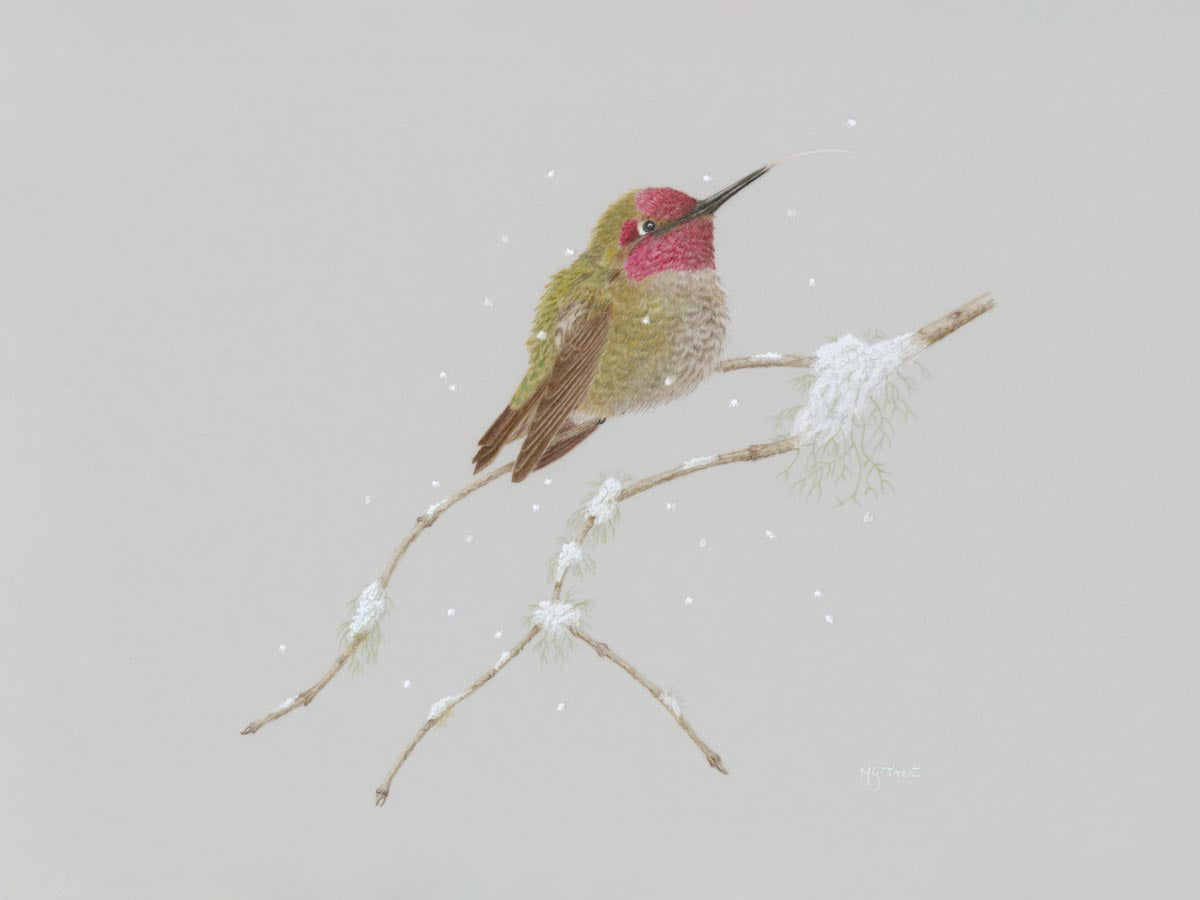 Snow Day Hummingbird