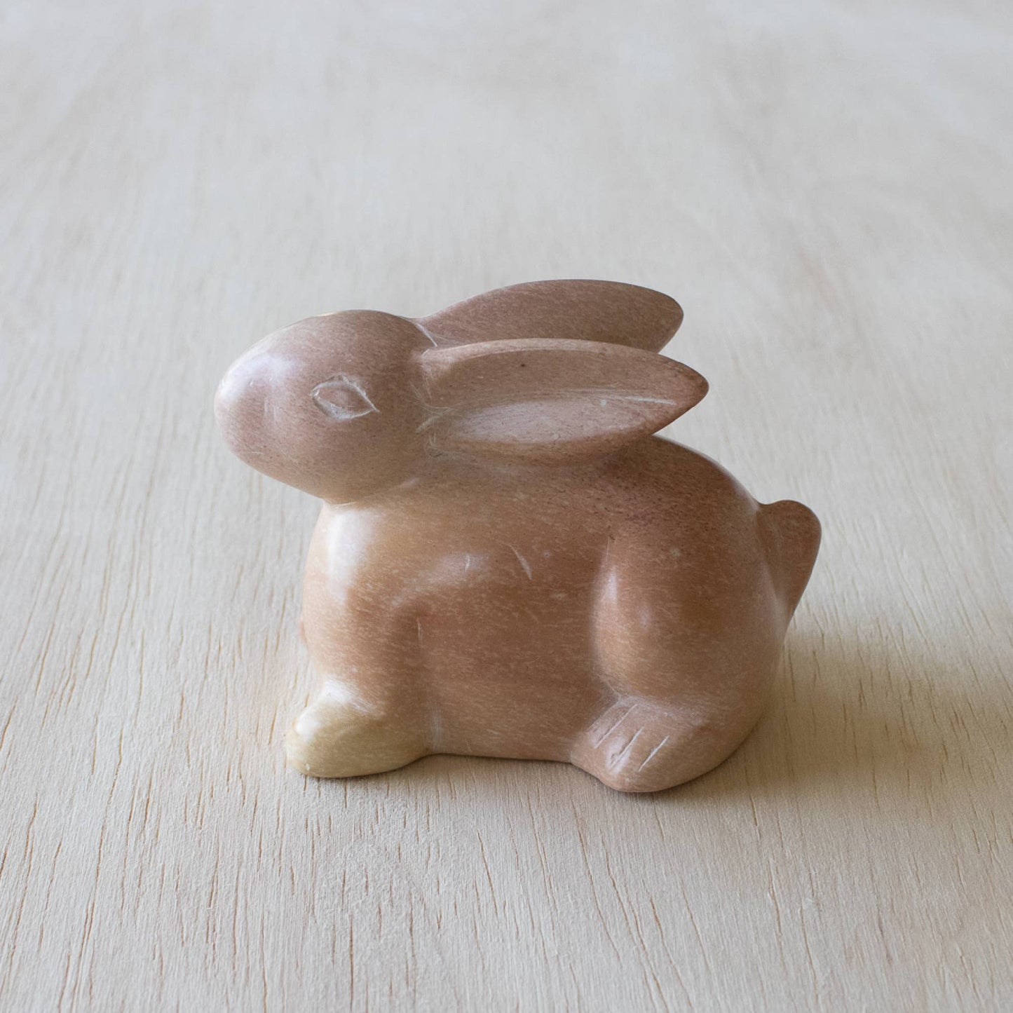 Bunny Lying