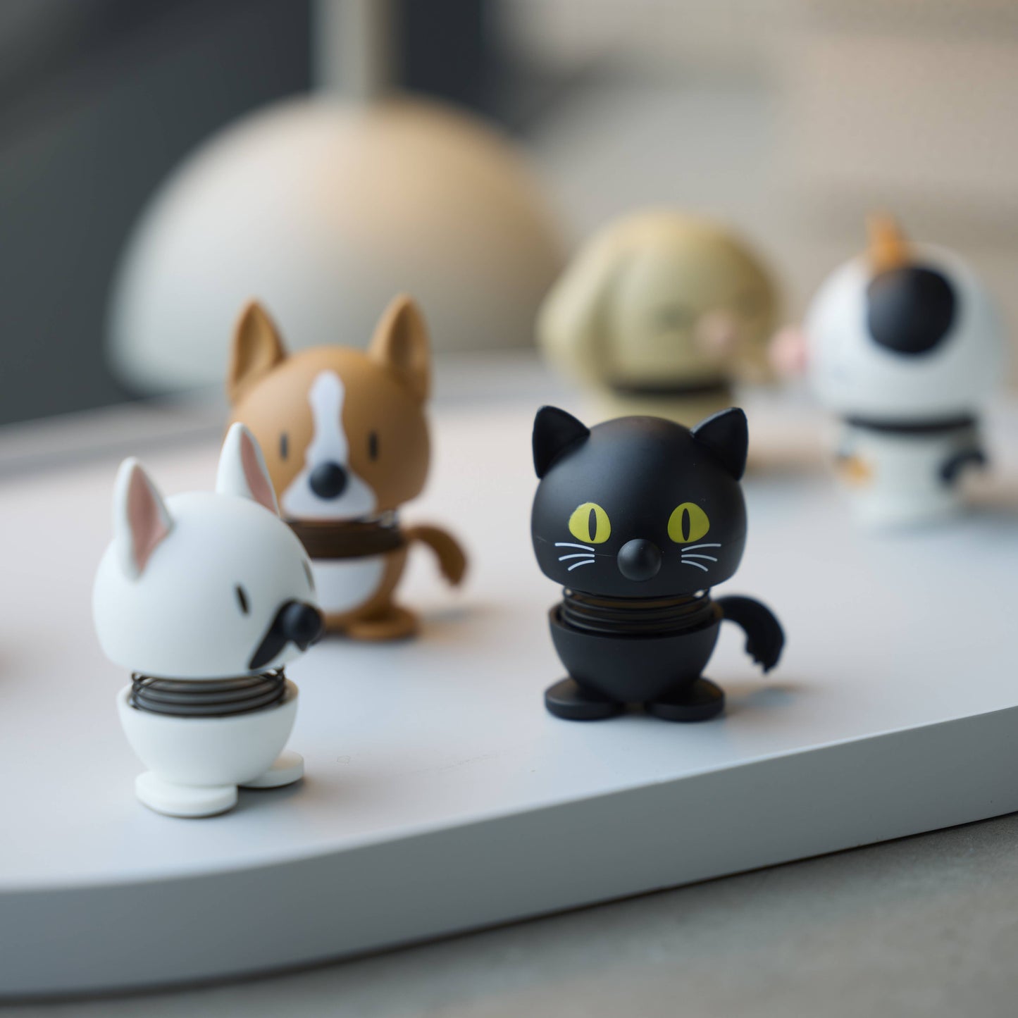 Black Cat XS
