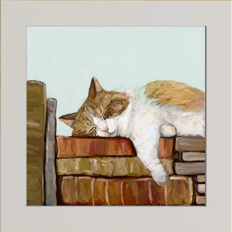 Cat on Books 3