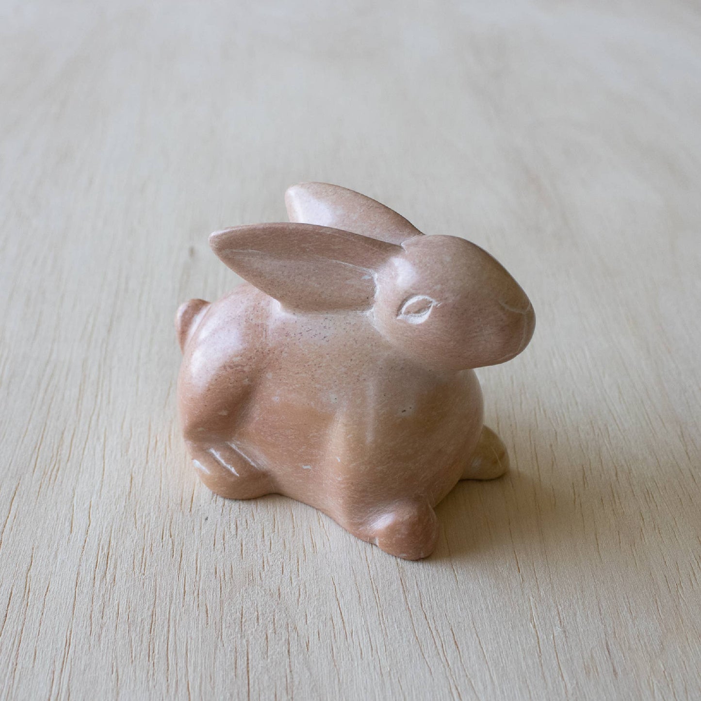 Bunny Lying