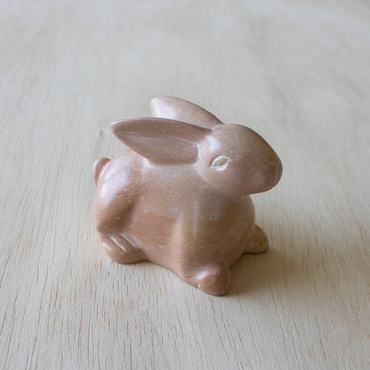 Bunny Lying