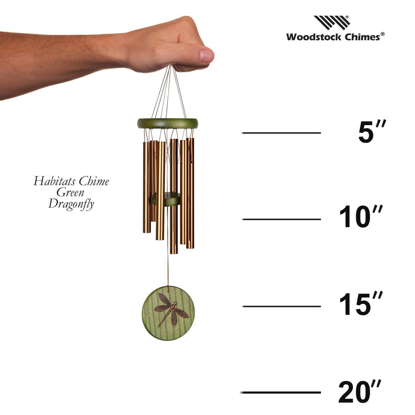 Habitats Grn Dragonfly