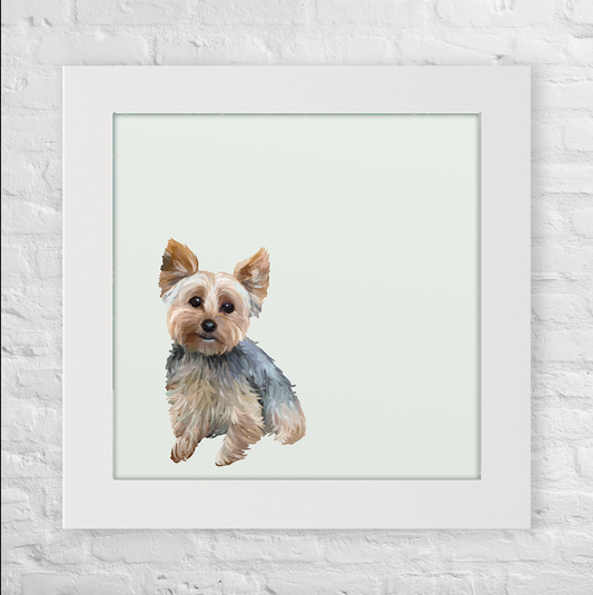 Bestie Yorkie
