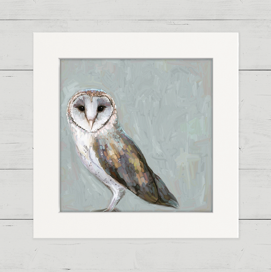 Gray Owl