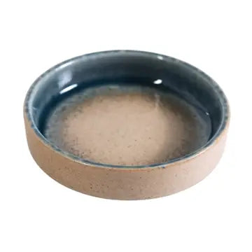 Ao Nagashi Dish