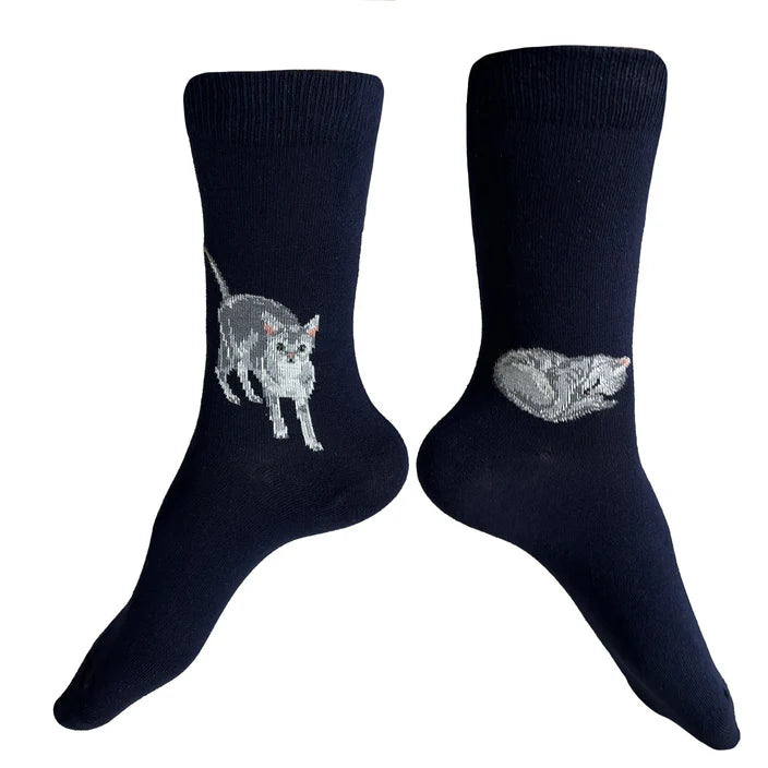 Meow Socks Navy