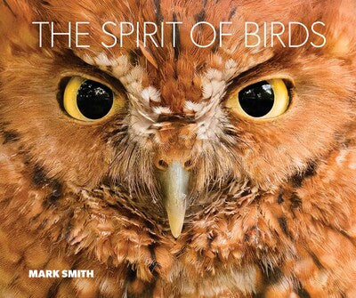 Spirit of Birds